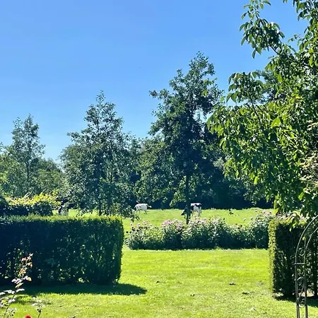 Bij Orienshuis Bed & Breakfast