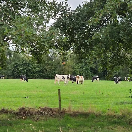 Bij Oriënshuis Bed & Breakfast Varsseveld